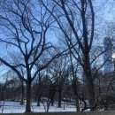 할랄푸드(HALAL FOOD) | 스태튼아일랜드 아울렛, 뉴욕증권거래소, 아델스페이머스할랄푸드(Adel's Famous Halal Food) 주문방법