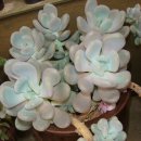 월미농장 이미지