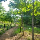 다을새길 이미지