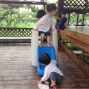 삼룡이농장