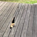 연우치과의원 | 이번 여름에 무얼했나