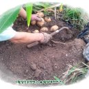 어답산민박 이미지