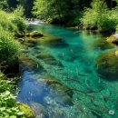 씨유 가평쉼터점 이미지