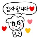 홍천세차장 이미지