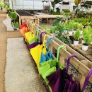 제주안에서 이미지