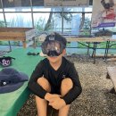 한국체대 신일태권도장 이미지