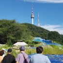 남산1천 이미지