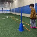 유성스포츠프라자 | 대전 유성구 유소년농구 아이들이 즐겁게 뛰는 도담도담 유소년스포츠 후기 🏀