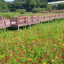 한빛공원(3) 이미지