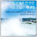 항공·체험관광 코스 | 캐나다 일주 8박10일 패키지 추천! 대한항공 노쇼핑 노팁 미식여행 일정