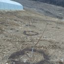 예인농장 이미지