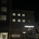 맹그로브 고성 | 맹그로브 고성 도미토리 후기