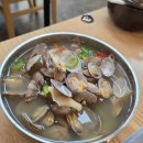 [석촌고분] 석촌고분역 칼국수 맛집 정하람칼국수 ㅣ 바지락수제비+ 콩국수 후기