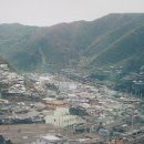 강원도 물 닭갈비 이미지