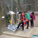 임내등산로 이미지