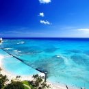 하와이 전통악기 우쿨렐레 이미지