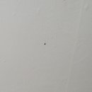 신중동역(7호선) 이미지