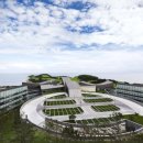 아리랑 커피호프 이미지