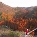 금정산업주식회사 이미지