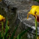 능허대초등학교 이미지