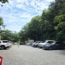 영도농원 이미지