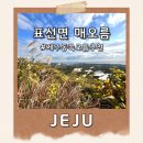 한지동 | 제주 표선면 매오름 둘레길 소요시간 주차장｜일출 보기 좋은 제주 동쪽 오름