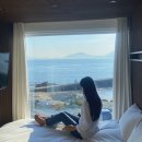 온실속베니 티스토리
