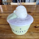 순천-14호 | 순천역 디저트 아끼염, 수제 젤라또 아이스크림 맛집