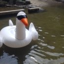 대운산자연휴양림(양산) 이미지