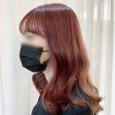 브라운헤어 - 강서구 | 브라운헤어