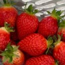 송라 아쿠아 이미지