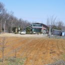 현일초교도로 이미지