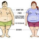 지니짐 헬스 이미지