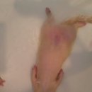 장수버섯마을 이미지