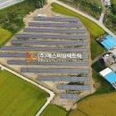 서광 태양광발전소 이미지