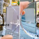 보다안경콘택트 이미지