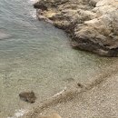 상주유자랜드 | 남해로(2박 3일) (2) / 상주은모래해변, 마리피자, 이제남해, 카페유자, 남해토피아랜드, 사천시...