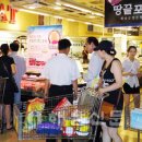 땅끝포크 이미지