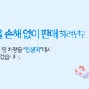 황금카모터스 이미지