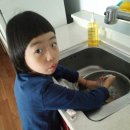 파인우드비치 이미지