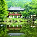 송산고광선 이미지