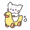 이화화훼 이미지