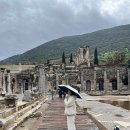 세계시민으로 가는 길: 고전 읽기 | 튀르키예 | 셀축에서 에페수스 가는 법, 돌무쉬 타고 다녀온 후기