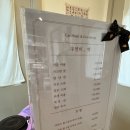 고양이 미용& 호텔 우연히, 캣 | ▶ 무마취 1인 고양이 미용 하고 온 후기 [우연히 캣] 고양이 미용 &amp; 호텔