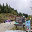 간절곶사슴농장 | 🌾 울산 영남알프스 가을 억새명소🌿 초보자도 즐기는 간월재 트래킹 후기