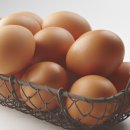 농업회사법인주식회사계림농장 이미지