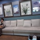 송학한의원 이미지