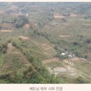 고래와새우 - 여수시 여문문화1길 72 | 고래와새우