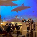 비스타짐 이미지