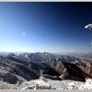 개화주유소 이미지